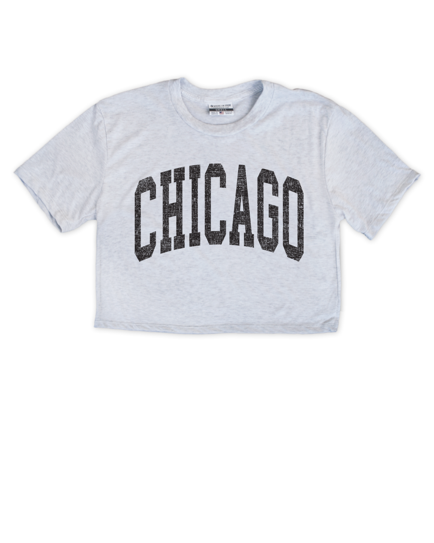Chicago Arch Cropped Tee