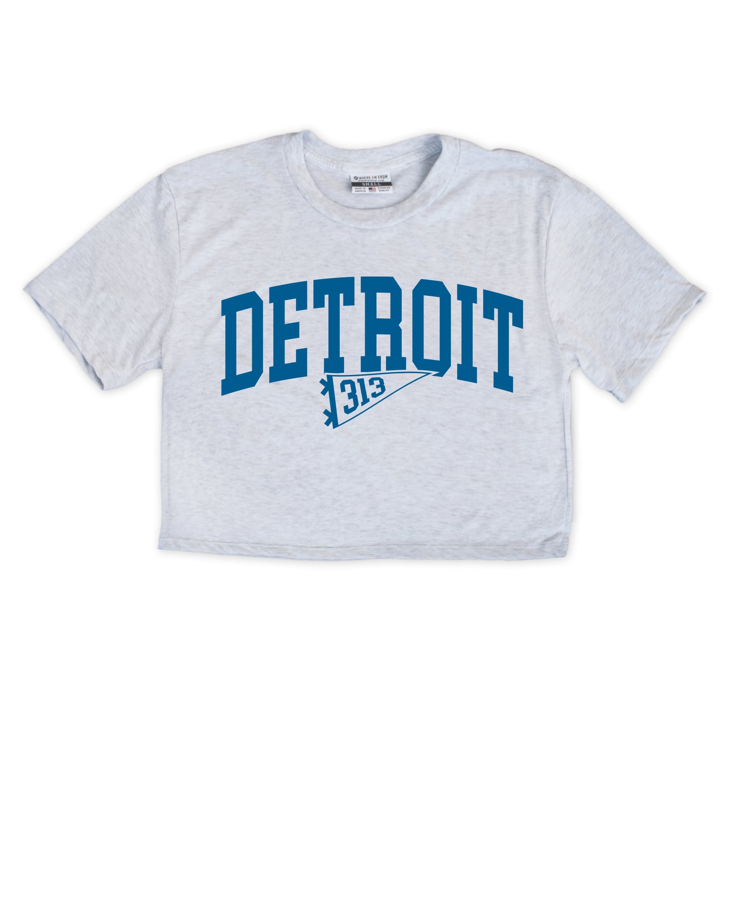 Detroit Pennant Cropped Tee