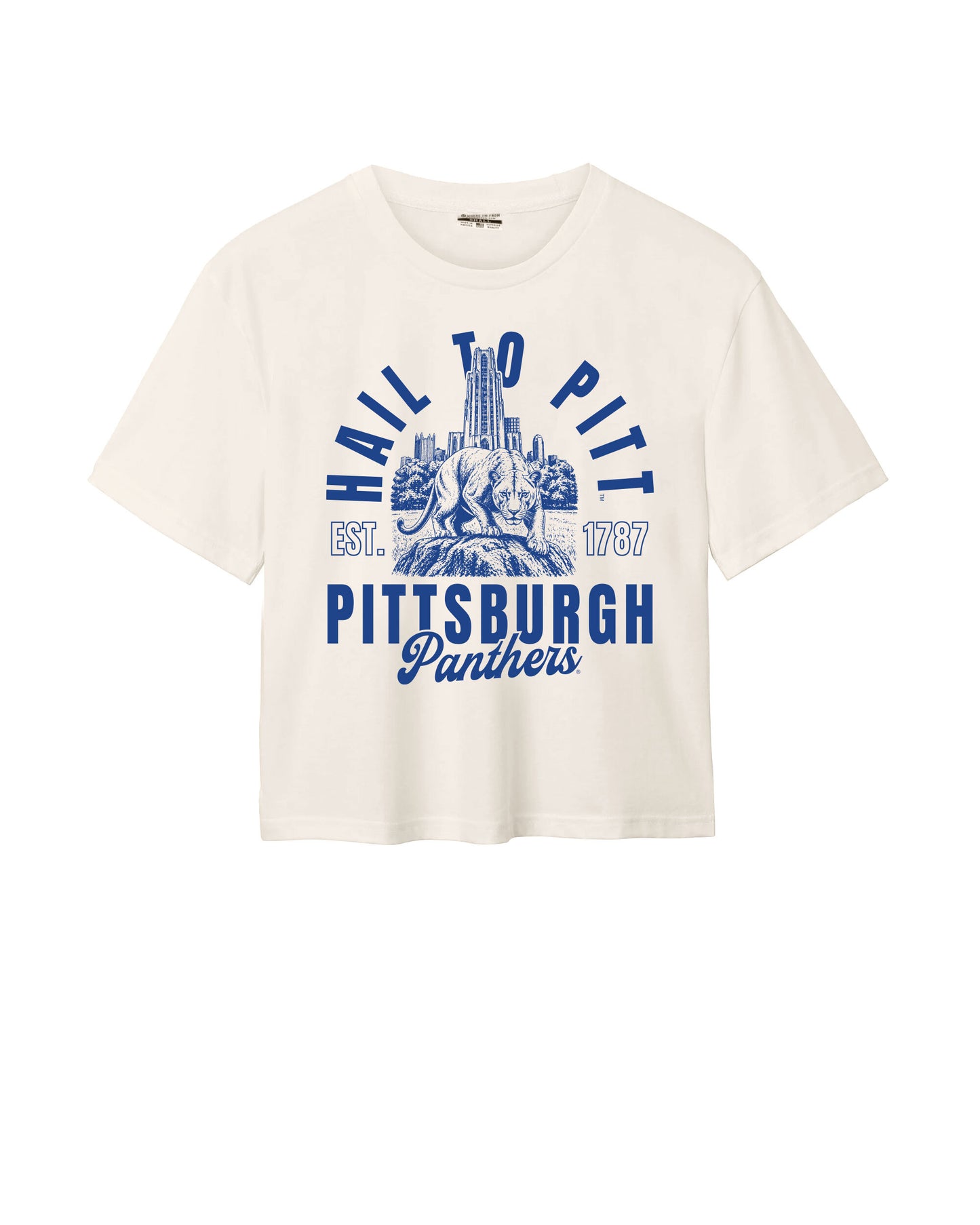 Hail to Pitt Easy Tee
