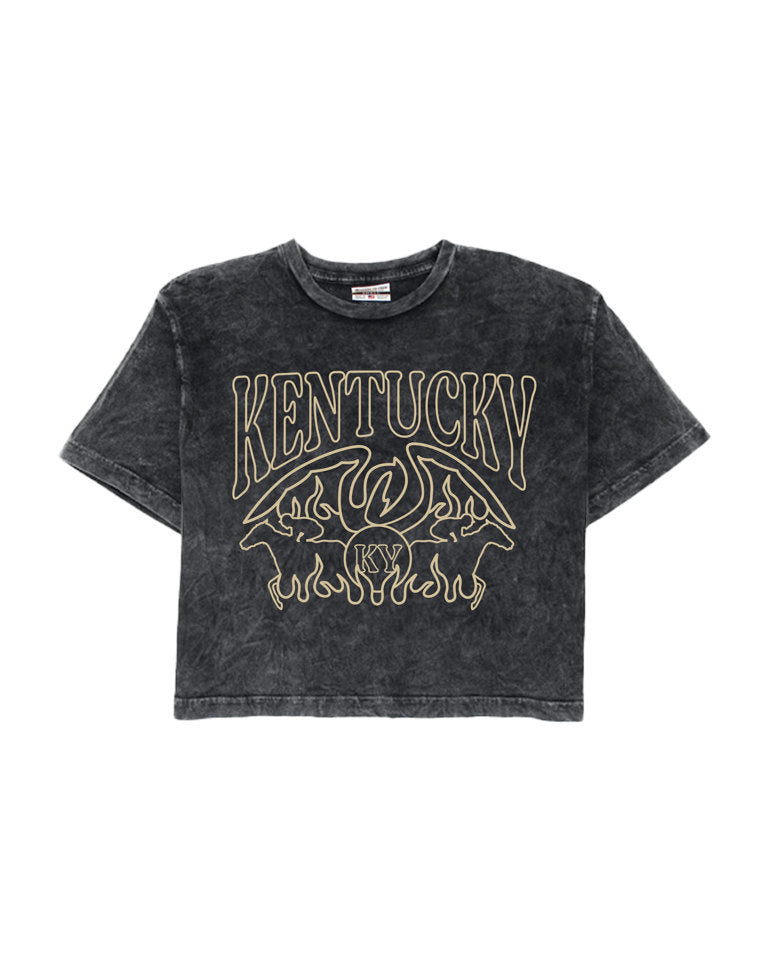 Kentucky Tour Cropped Tee