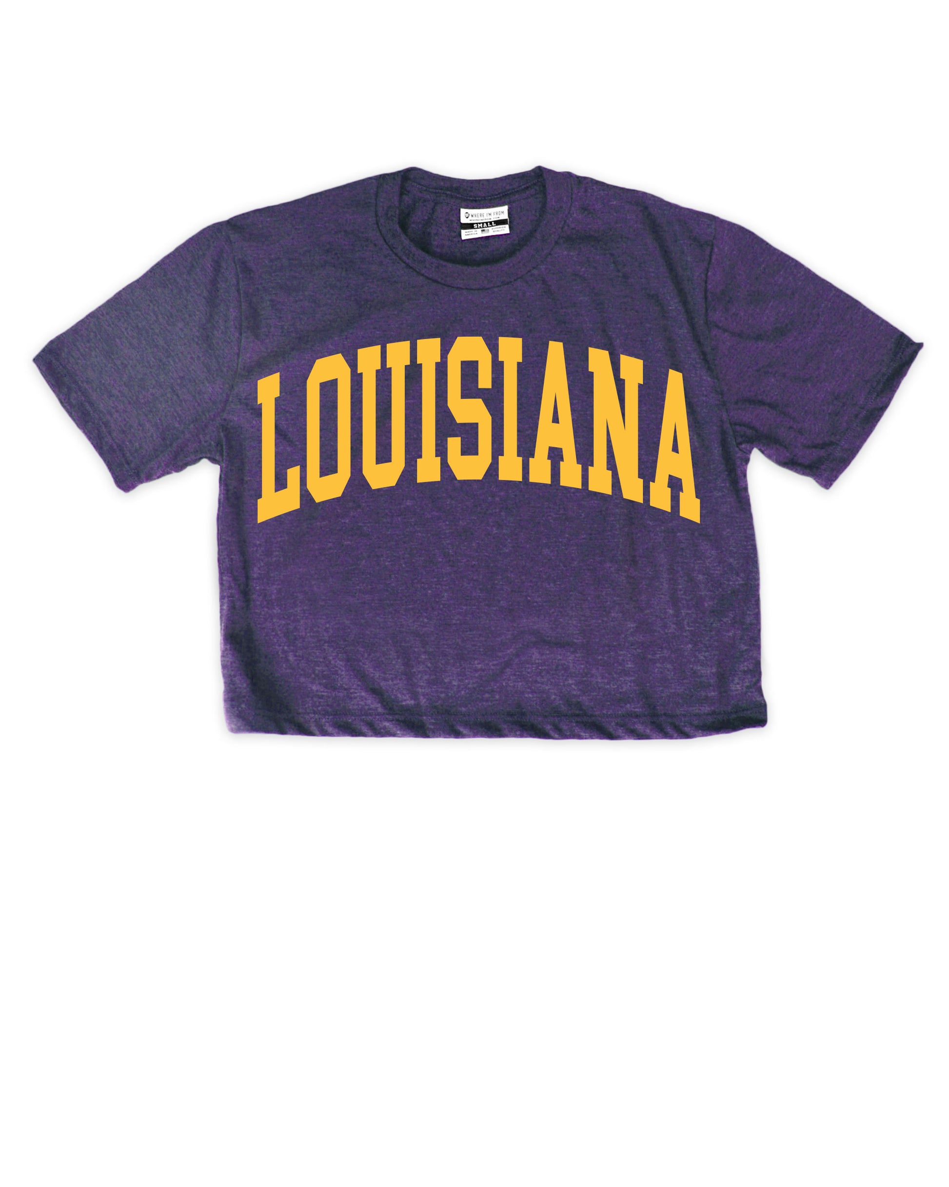 Louisiana Arch Oversized Cropped Tee