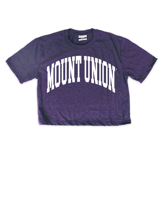 Oversized Mount Union Cropped Tee