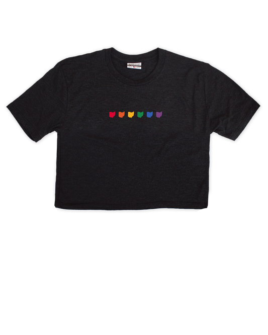 Ohio Rainbow Spectrum Cropped Tee