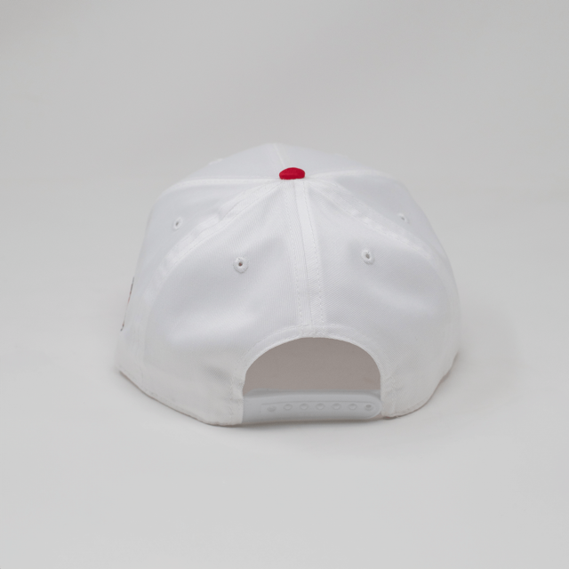 University of Houston Cougars Two Tone Hat