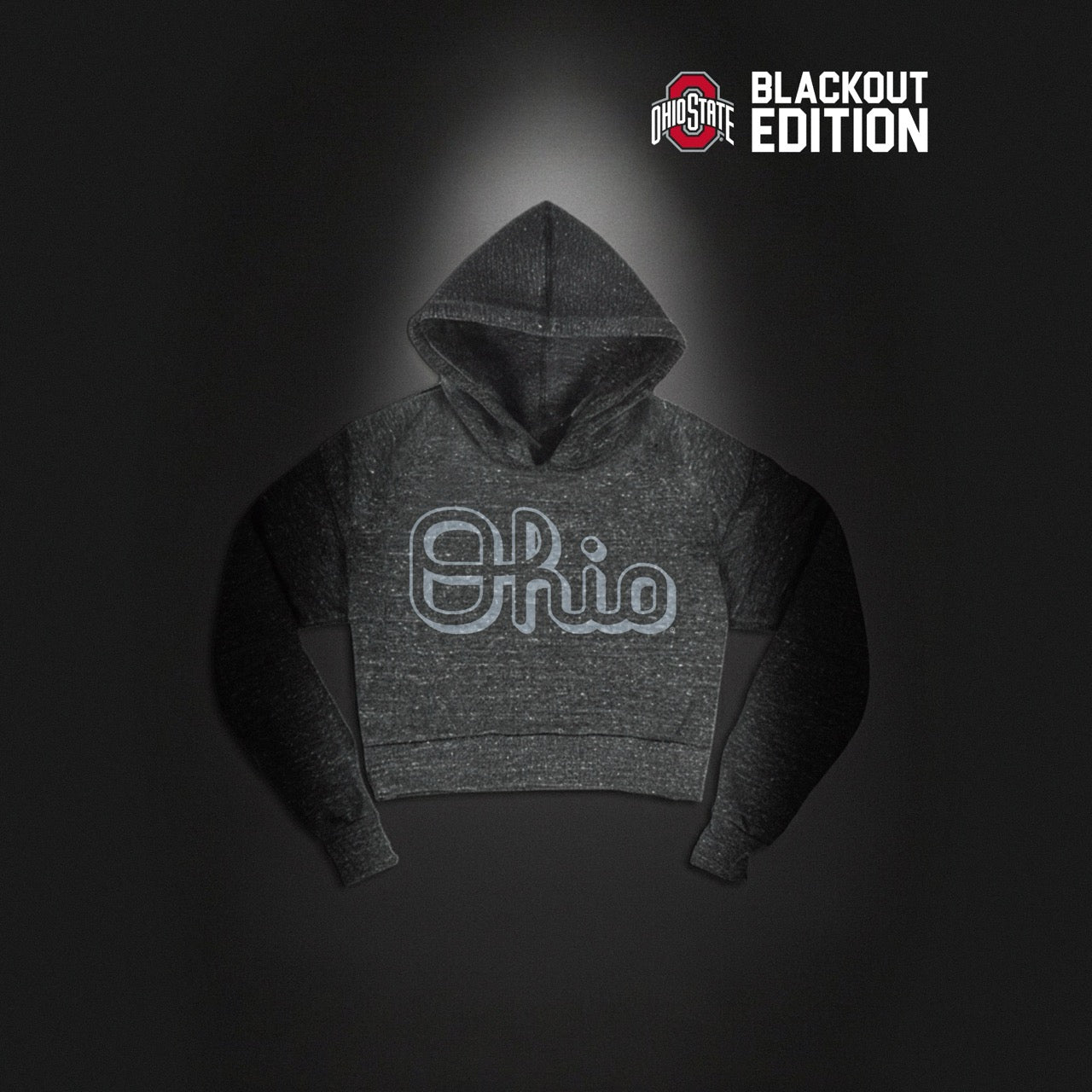 Script Ohio Pullover Hoodie