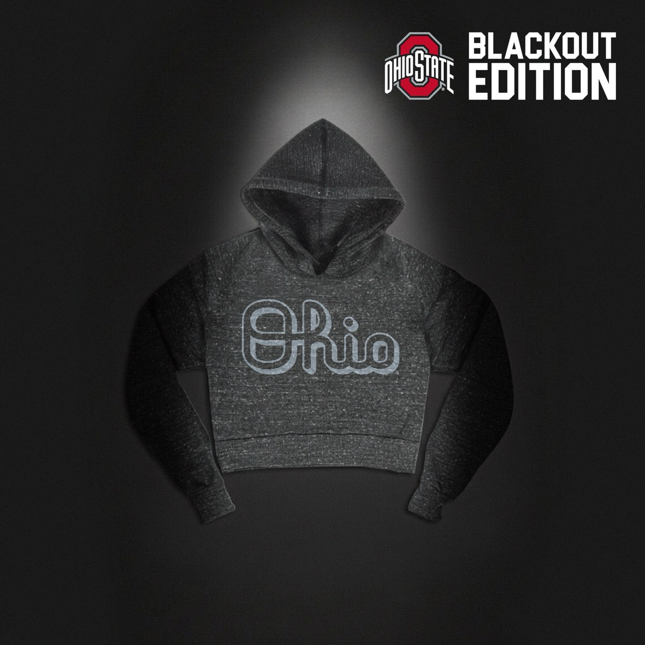 Script Ohio Pullover Hoodie