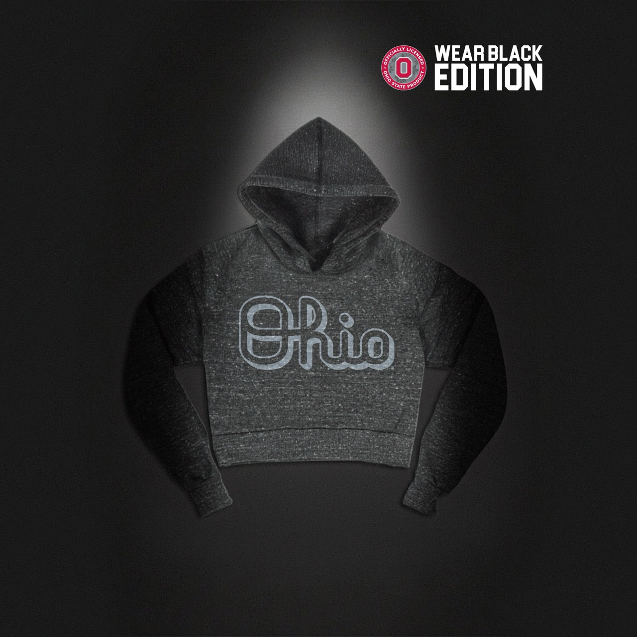 Script Ohio Pullover Hoodie