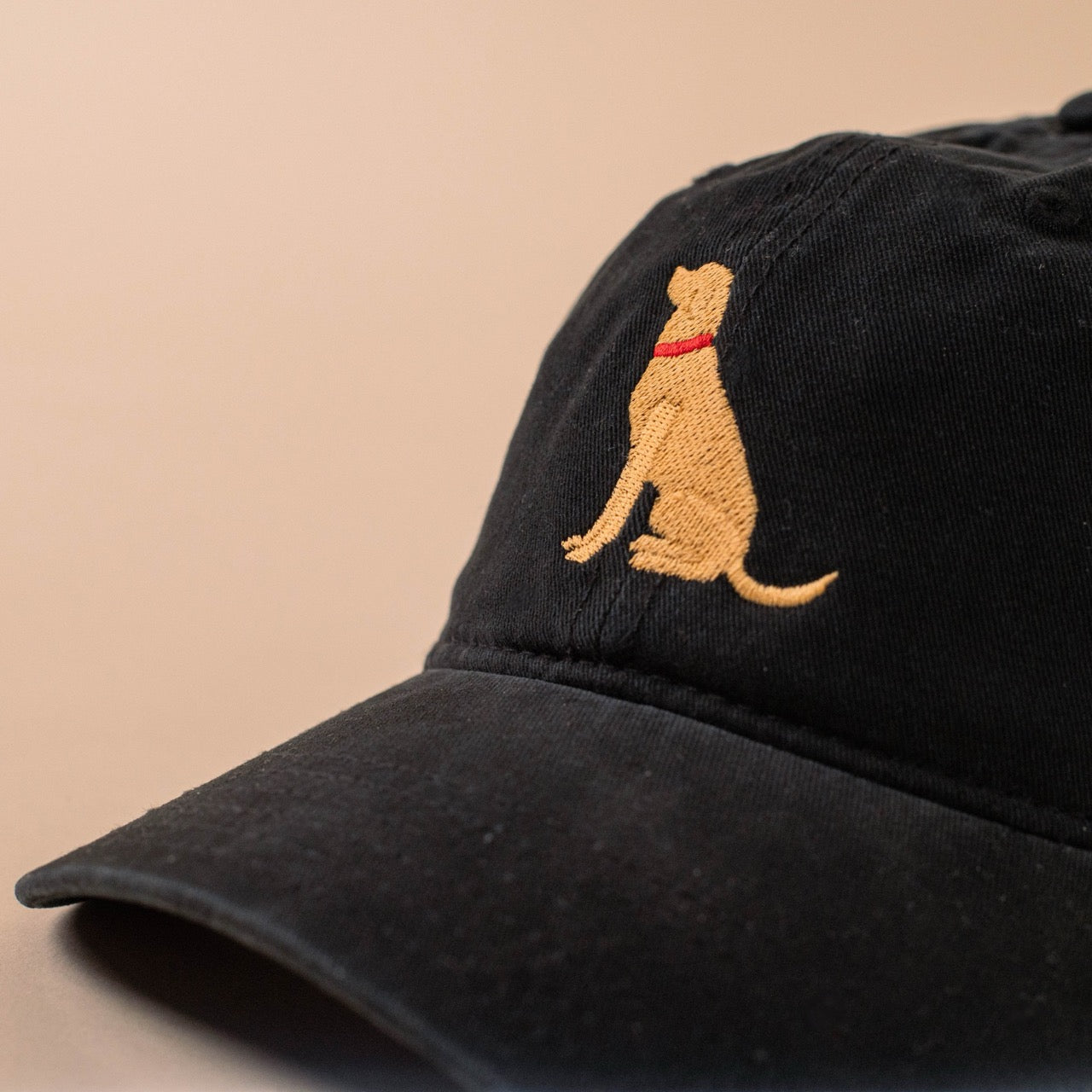 Champ Dad Hat