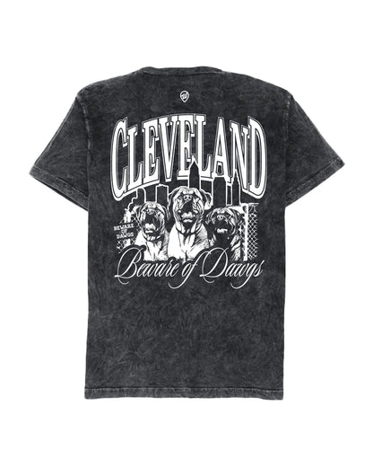 Beware of Dawgs Tee