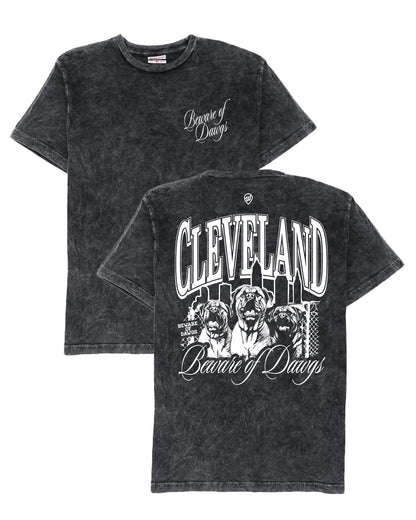 Beware of Dawgs Tee