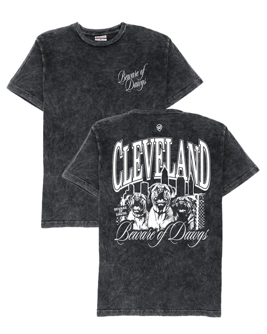 Beware of Dawgs Tee