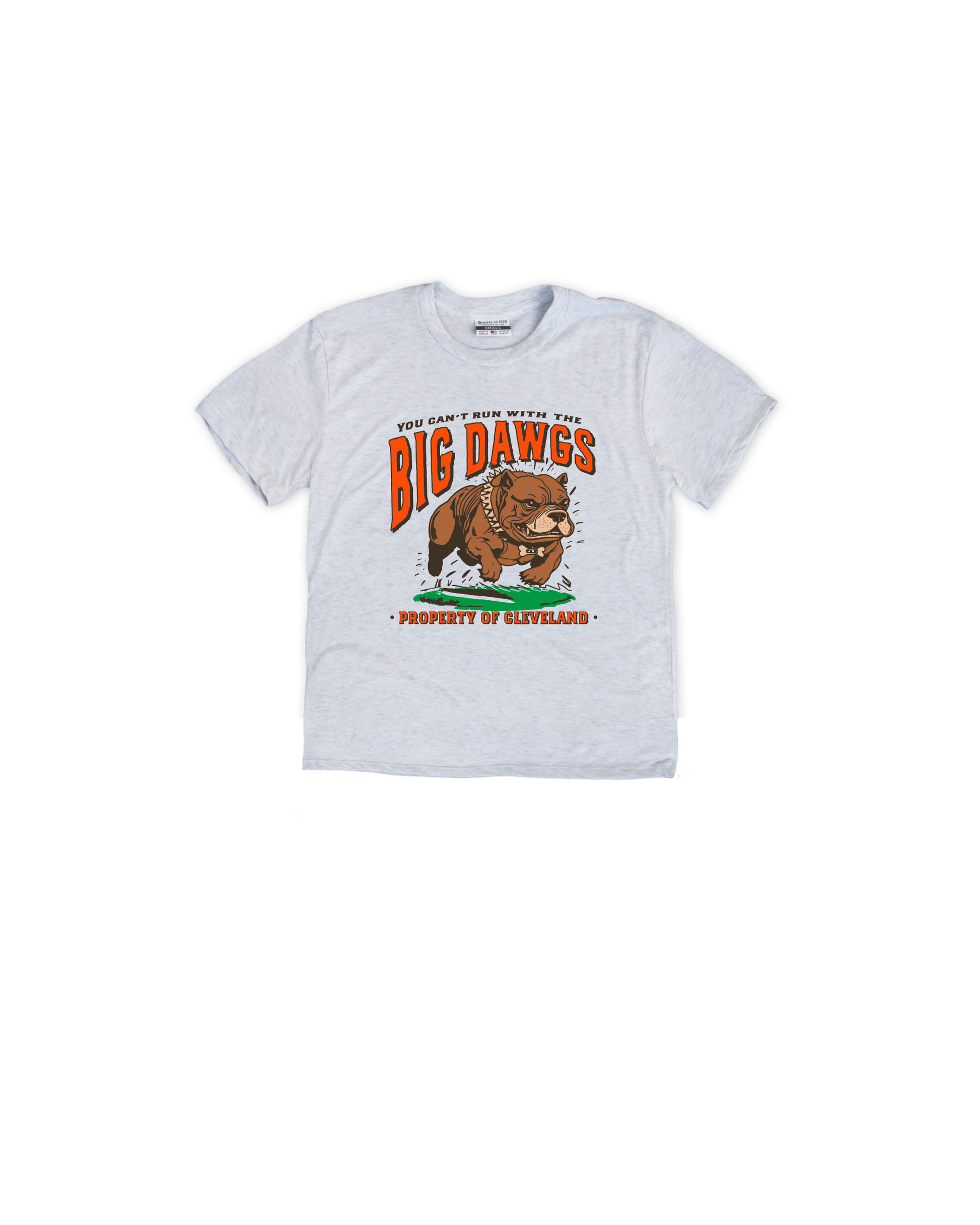 Can't Run With The Big Dawgs Toddler Tee
