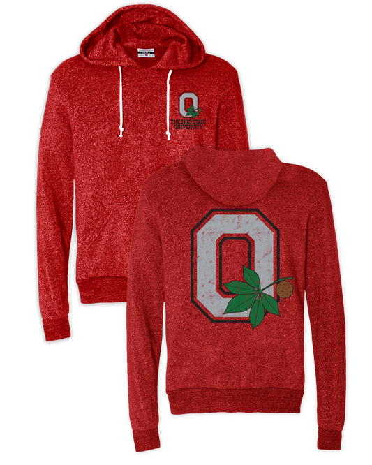 The Ohio State University Hoodie