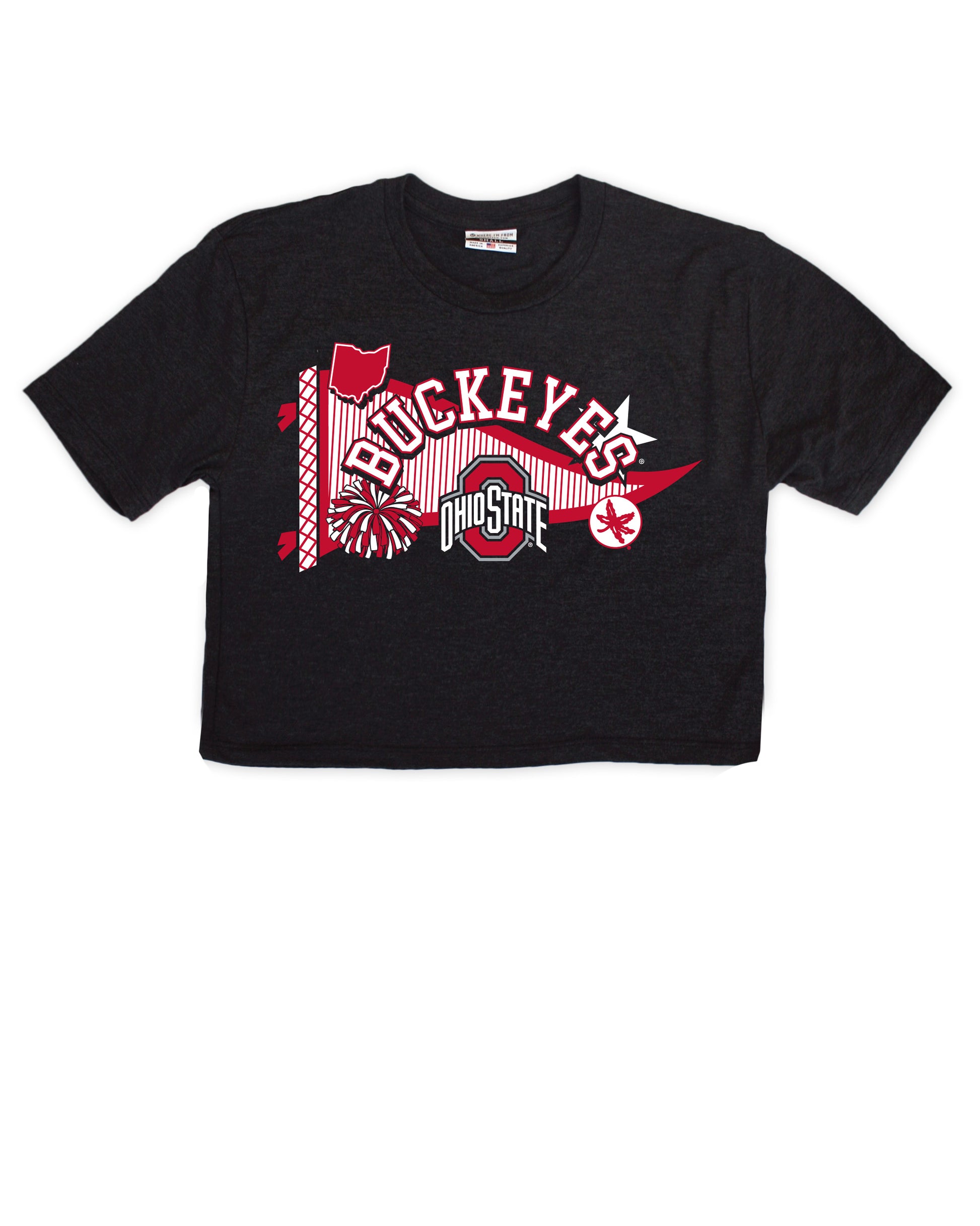 Ohio State Buckeyes Pennant Cropped Tee