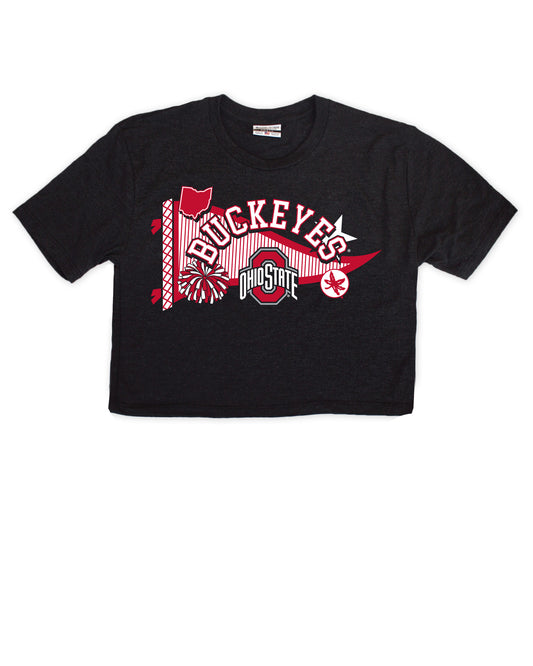 Ohio State Buckeyes Pennant Cropped Tee