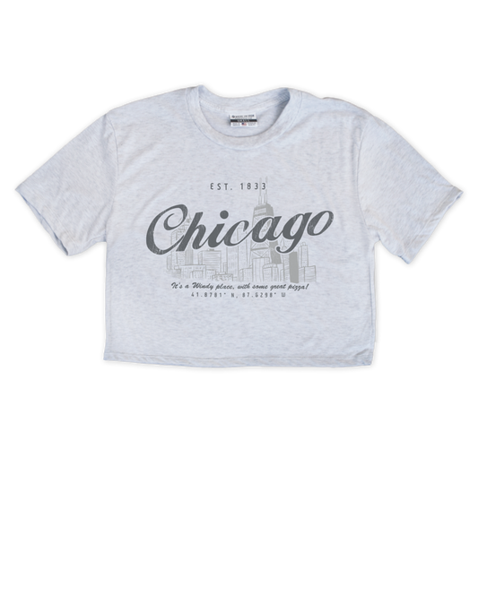 Chicago Skyline Cropped Tee