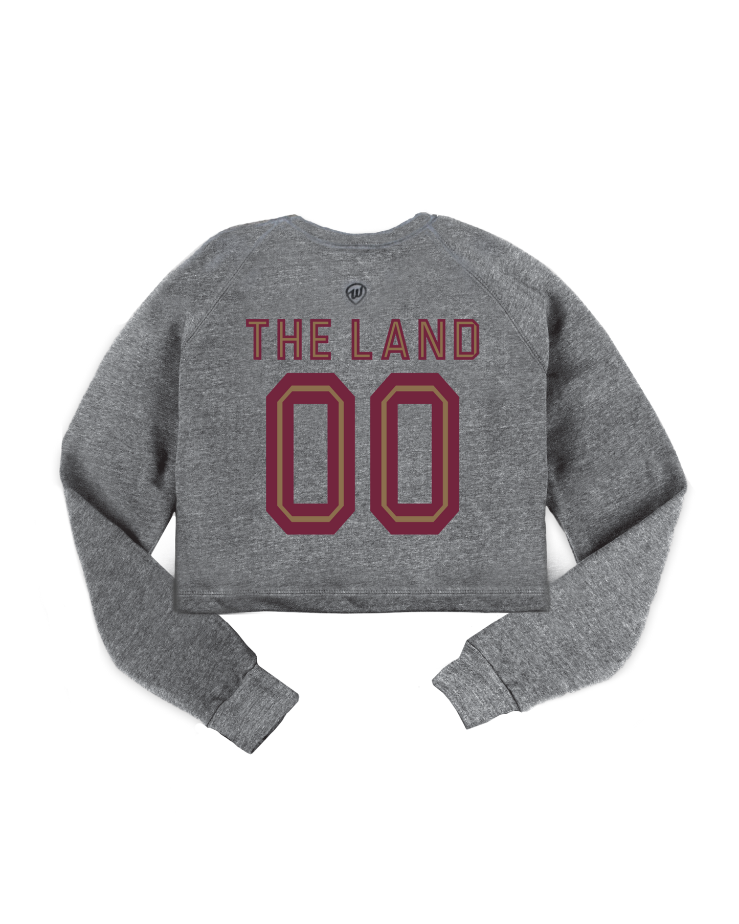 Cleveland Arch Jersey Cropped Crew Sweatshirt