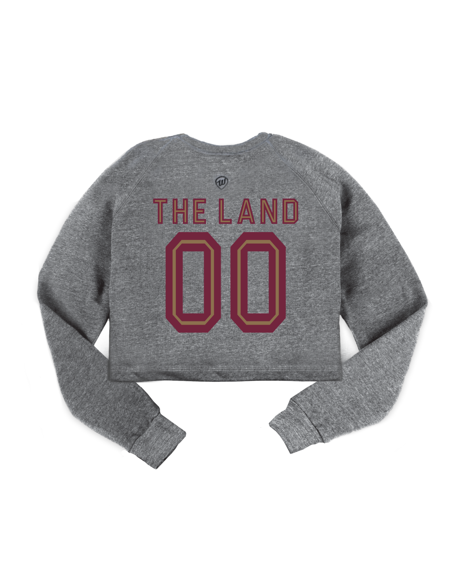 Cleveland Arch Jersey Cropped Crew Sweatshirt