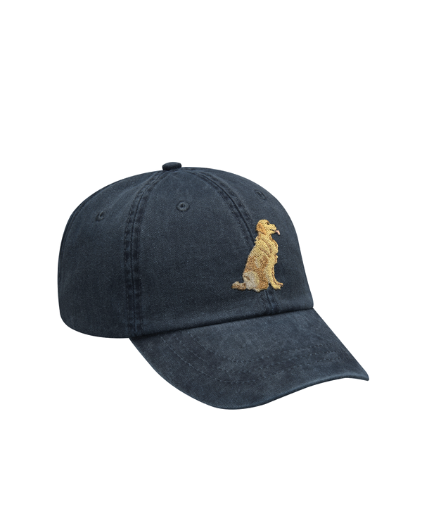 Rover Dad Hat