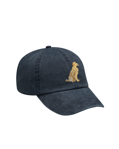 Rover Dad Hat