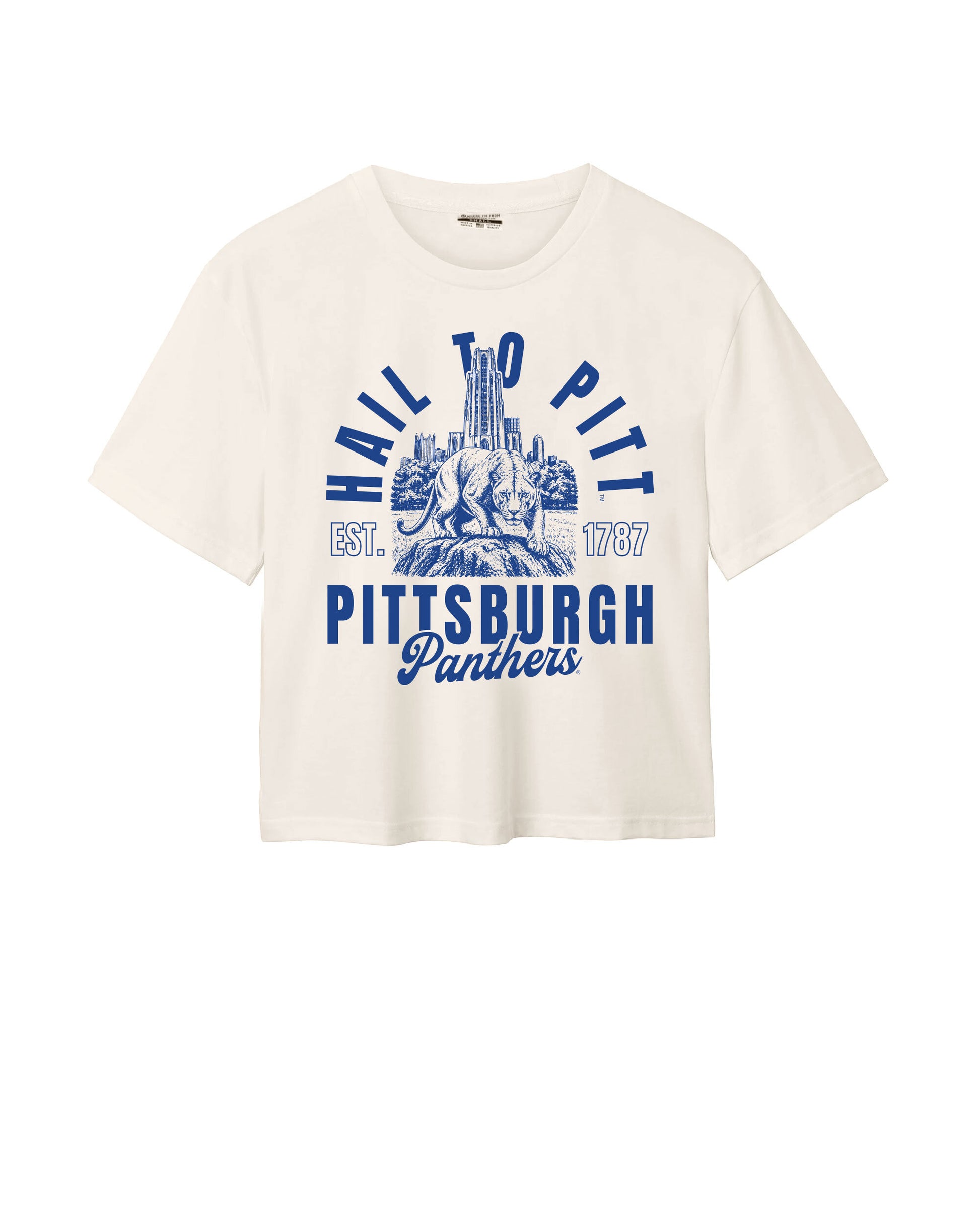 Hail to Pitt Easy Tee
