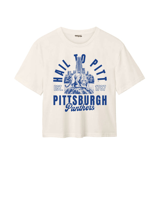 Hail to Pitt Easy Tee