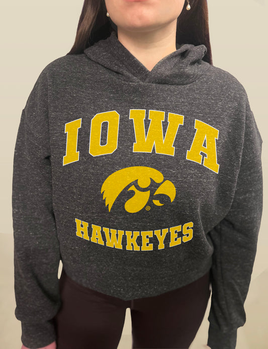 Iowa Hawkeyes Pullover Hoodie