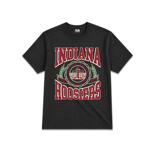 Black short-sleeve t-shirt, distressed red and green graphic print, 'INDIANA HOOSIERS' football and stadium emblem in the center.