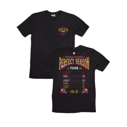 Black t-shirt with 'Perfect Season' tour graphic on a white background