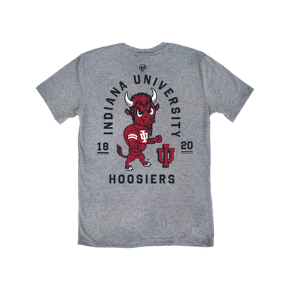 Indiana Hoosiers Vintage Buffalo Tee