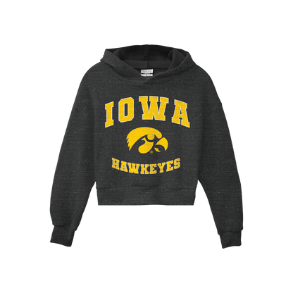 Iowa Hawkeyes Pullover Hoodie