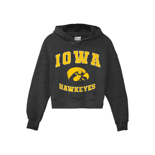 Iowa Hawkeyes Pullover Hoodie