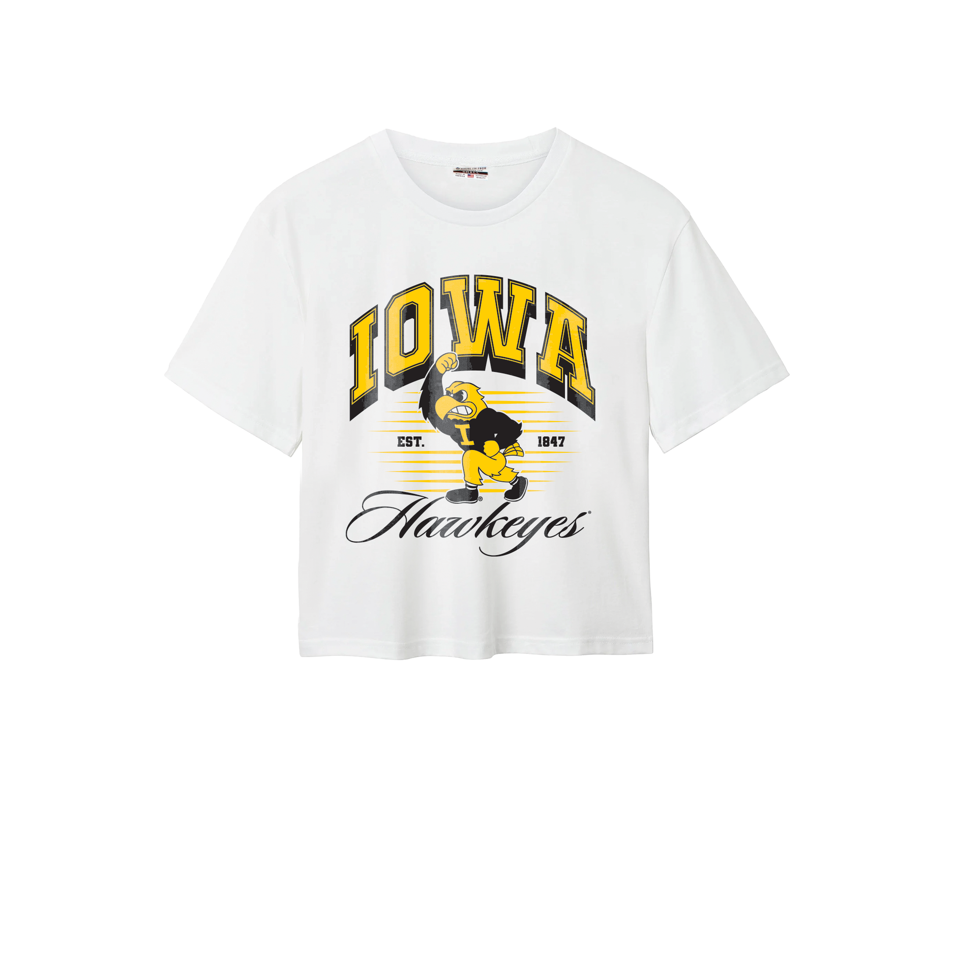 Iowa Hawkeyes Retro Mascot Cotton Easy Tee