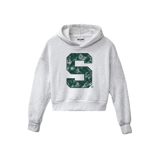 Michigan State Block S Pullover Hoodie