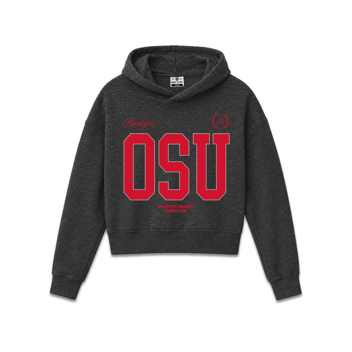 OSU Block Pullover Hoodie
