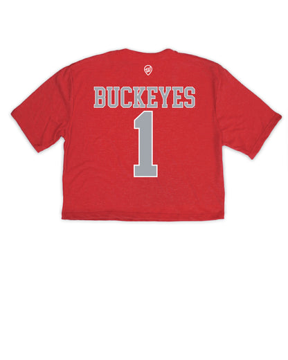Ohio State Jersey Cropped Tee