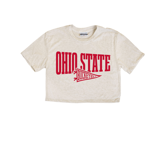 Ohio State Pennant Cropped Tee