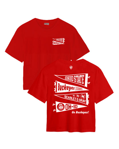 Ohio State Pennant Easy Tee