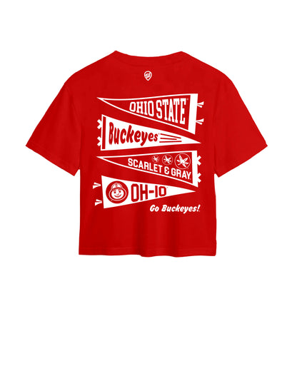 Ohio State Pennant Easy Tee