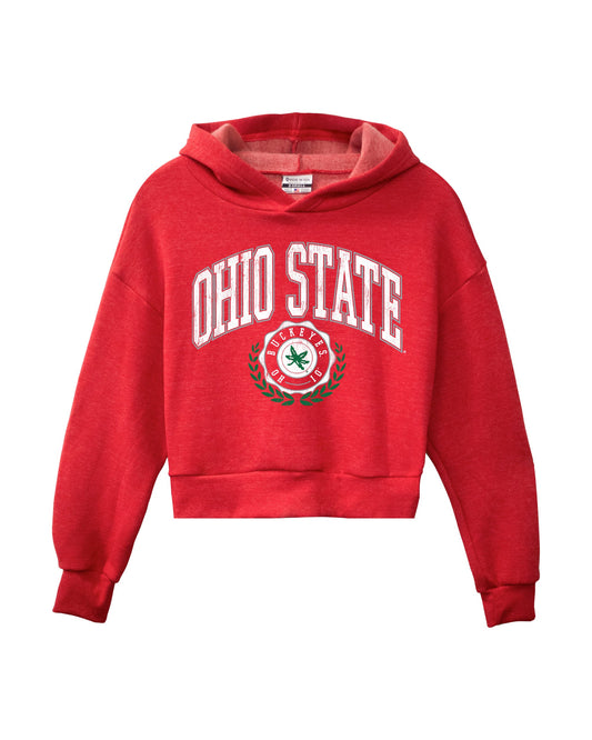 Ohio State Stamp Pullover Hoodie
