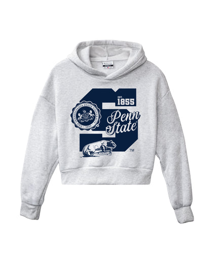 Penn State Block S Crest Pullover Hoodie