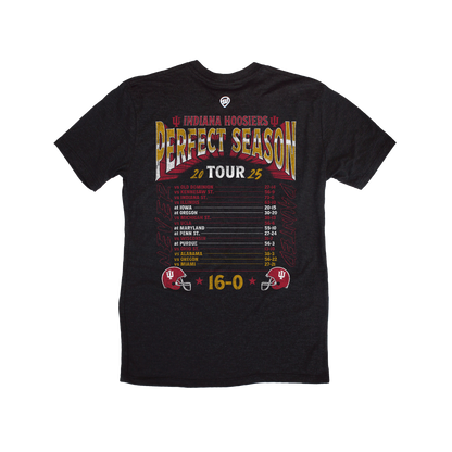 IU Perfect Season Tour Tee