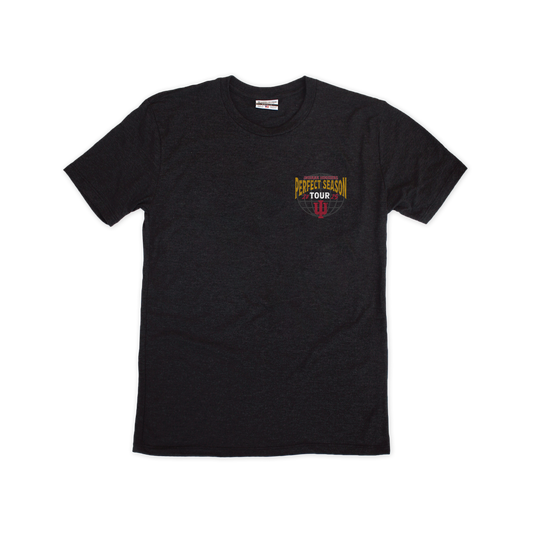 IU Perfect Season Tour Tee