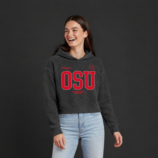 OSU Block Pullover Hoodie