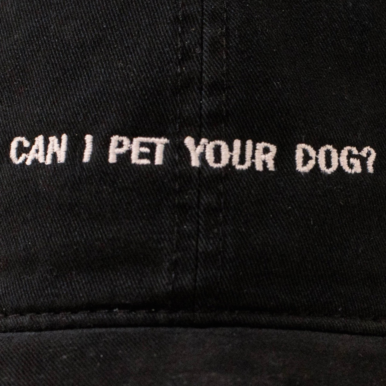 Can I Pet Your Dog Dad Hat