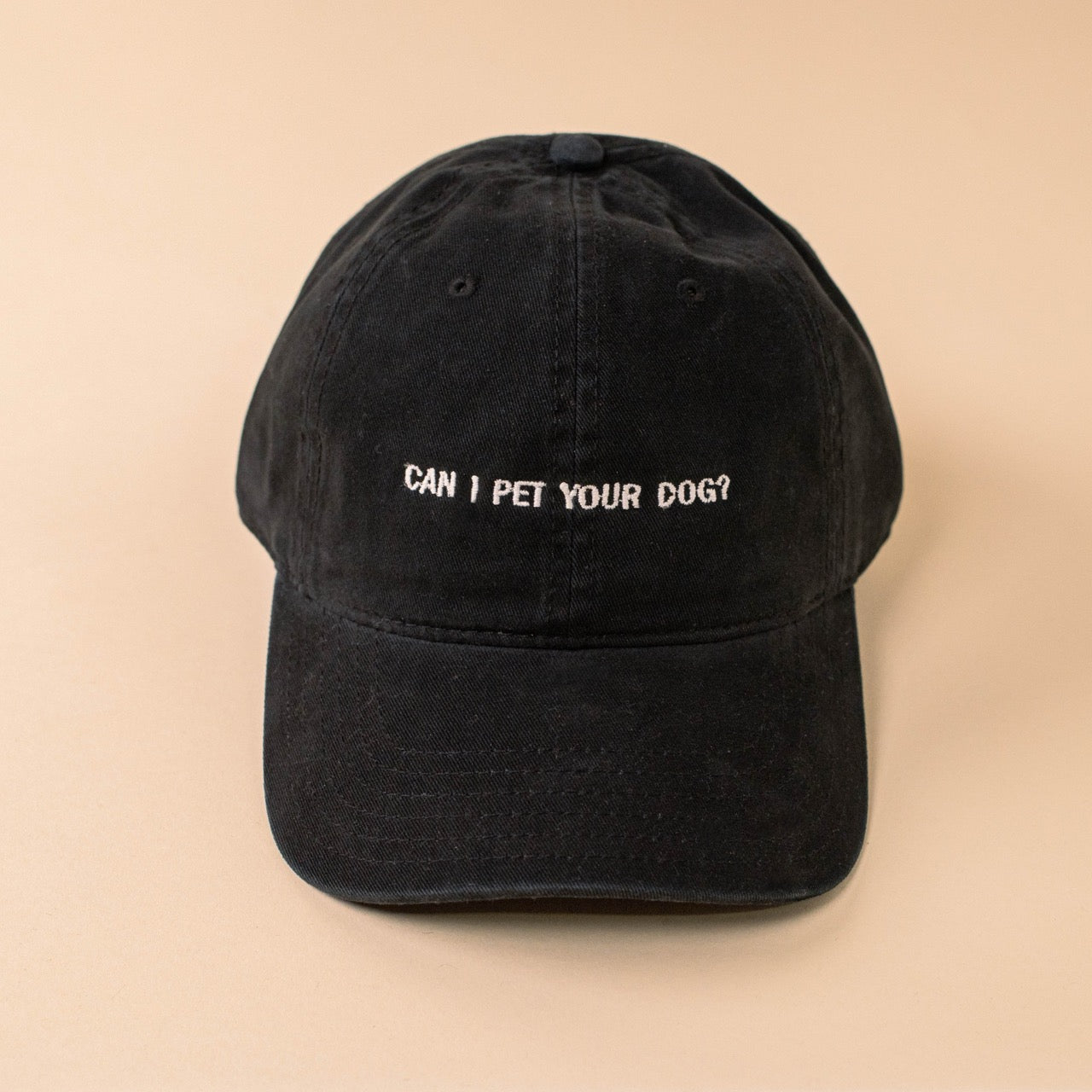 Can I Pet Your Dog Dad Hat