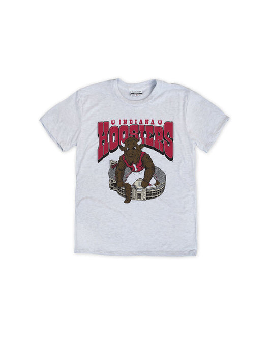 Indiana Hoosiers Bison Youth Tee