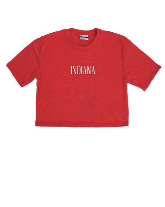 Indiana Embroidered Cropped Tee