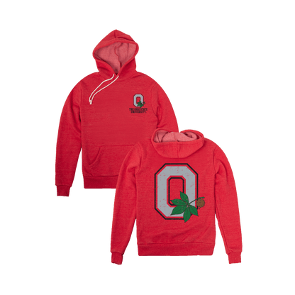 The Ohio State University Hoodie