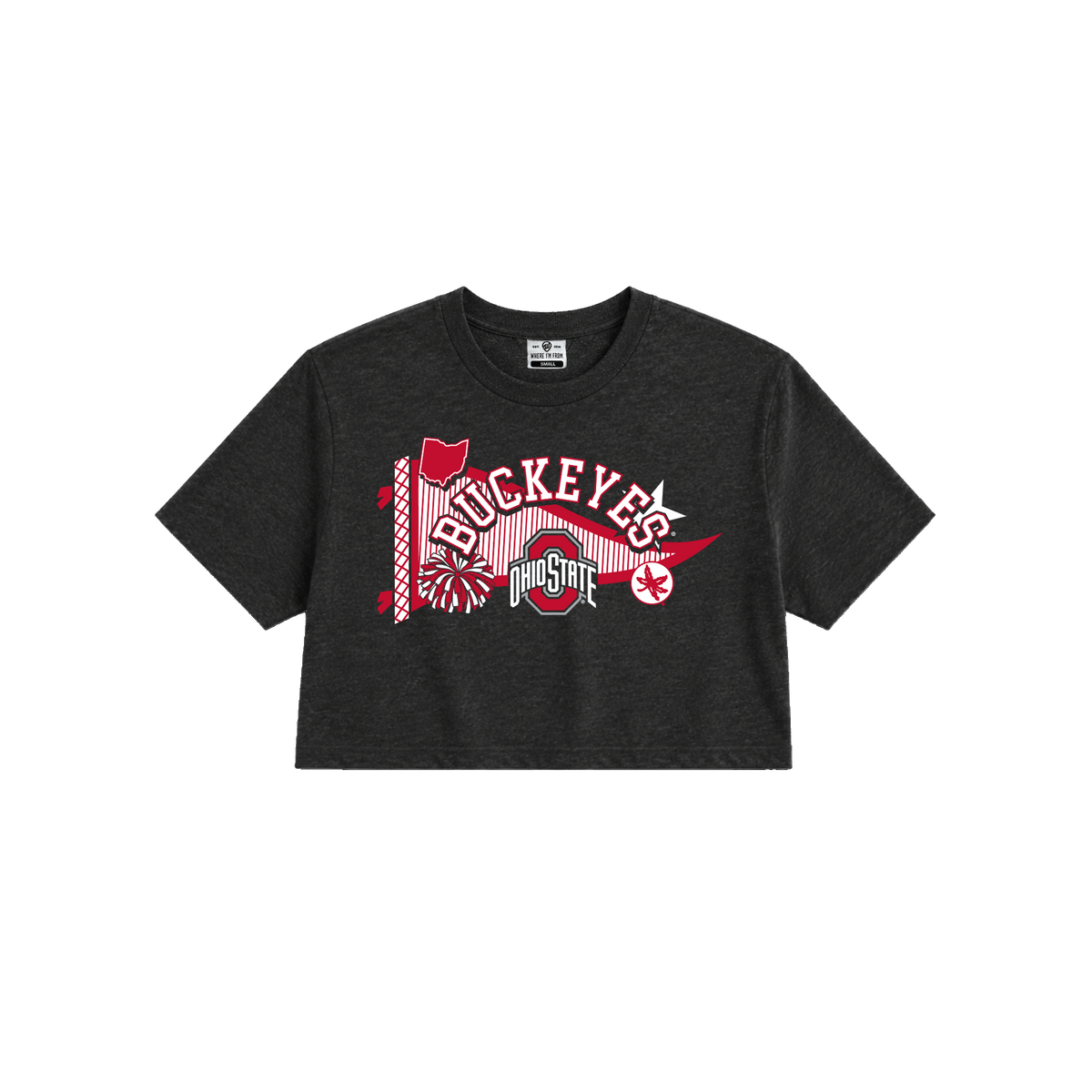 Ohio State Buckeyes Pennant Cropped Tee